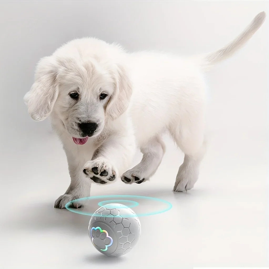 Smart toys for pets