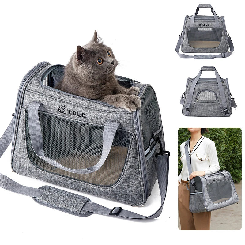 Carrying, transportation and protection