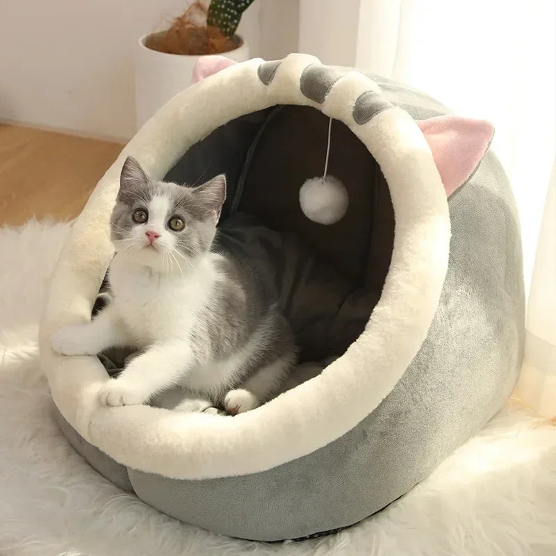Cat Beds