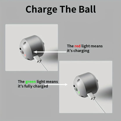 Smart Interactive Pet Toy Ball
