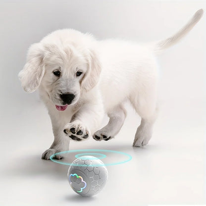 Smart Interactive Pet Toy Ball