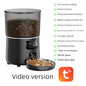 Smart Automatic Pet Feeder with Wi-Fi & Camera